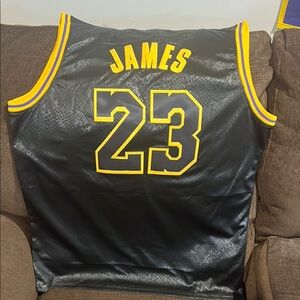 🔥🔥SALE🔥🔥Replica LeBron James number 23 Black and Gold Los Angeles Jersey